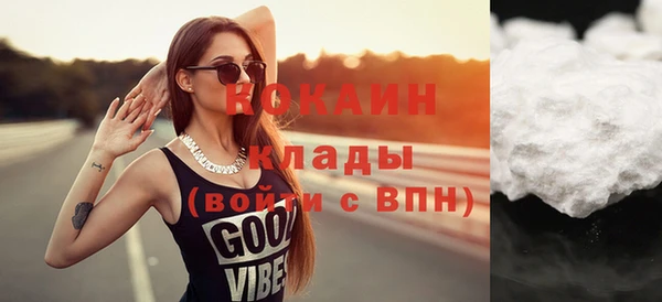 мет Няндома