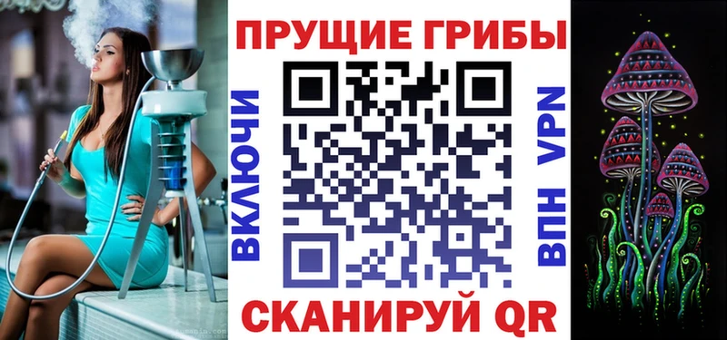 Псилоцибиновые грибы Cubensis  Стерлитамак 