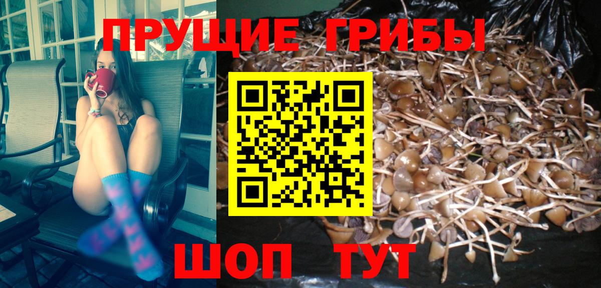 Галлюциногенные грибы мухоморы  Псилоцибиновые грибы Psilocybe  Вход с VPN  Стерлитамак 