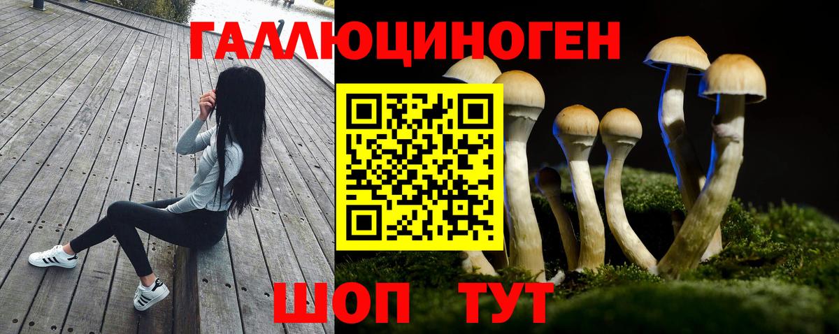 Галлюциногенные грибы MAGIC MUSHROOMS  Галлюциногенные грибы мицелий  Стерлитамак 